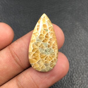 Fossil Coral Cabochon... Pear Cabochon...30x15x5 mm...16 Cts...A#O1829