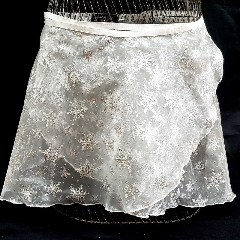 Snowflake French lace silk organza dress main image 0