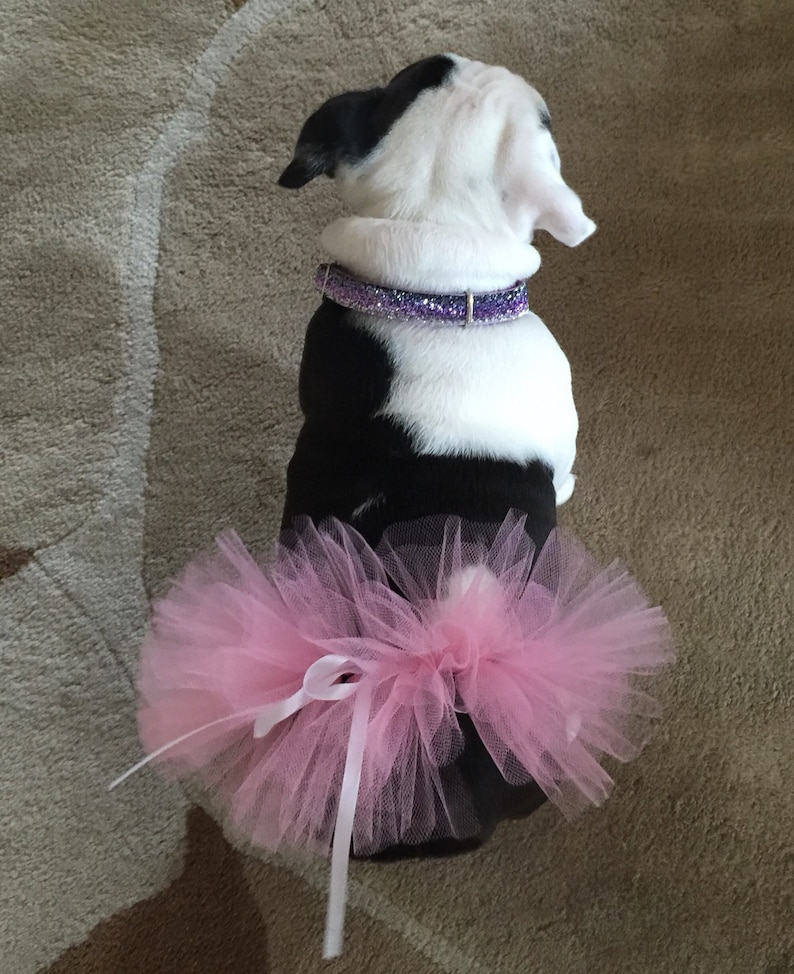Pink Tutu For PetsPink Bulldog TutuPink Tutu For Dogs