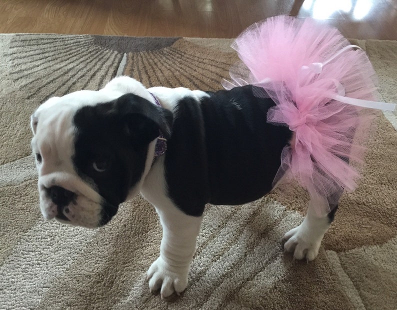 Pink Tutu For PetsPink Bulldog TutuPink Tutu For Dogs