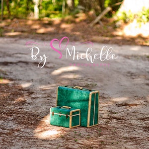 May include: Two vintage suitcases, one green and one smaller green suitcase, are sitting on a dirt path in a forest setting. The suitcases have gold accents and are made of a textured material.