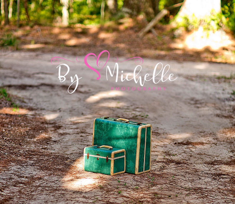May include: Two vintage suitcases, one green and one smaller green suitcase, are sitting on a dirt path in a forest setting. The suitcases have gold accents and are made of a textured material.