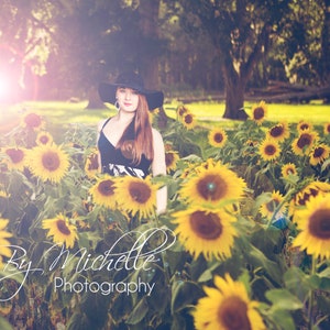 Field of sunflowers children/teens/adults