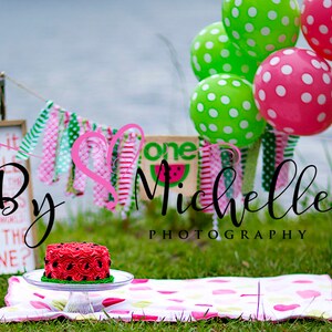 1st birthday watermelon theme digital background