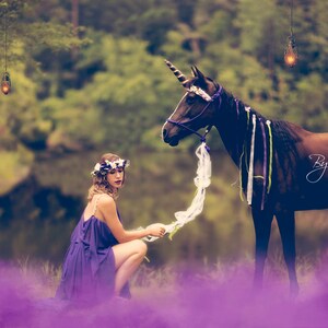 Unicorn (Dark) Digital background Teens/Children