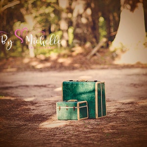 May include: Two vintage suitcases, one stacked on top of the other, are sitting on a dirt path. The suitcases are green with gold trim. The larger suitcase is slightly open.