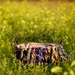 Newborn digital Background/ Field of Yellow Flowers/ Wool Fluff/ Purple