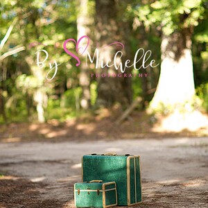 May include: Two vintage suitcases, one stacked on top of the other, are both green with gold accents. The suitcases are sitting on a dirt path in a forest setting.