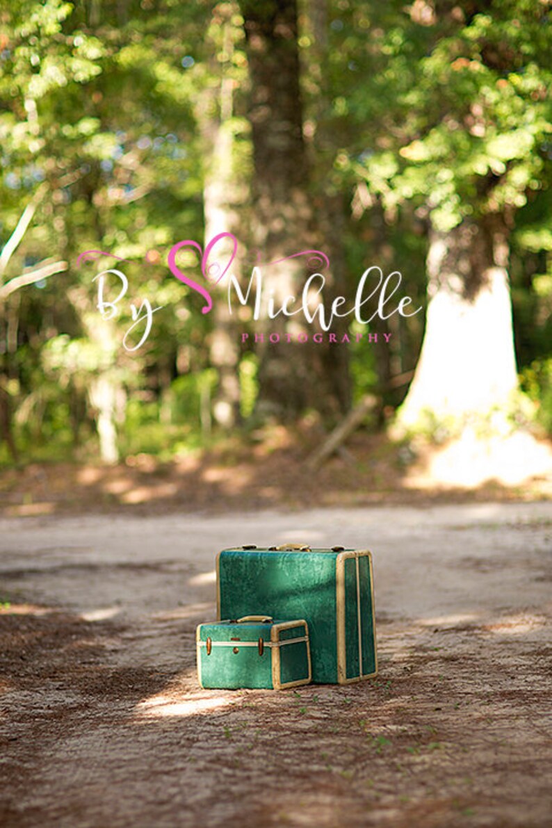 May include: Two vintage suitcases, one stacked on top of the other, are both green with gold accents. The suitcases are sitting on a dirt path in a forest setting.