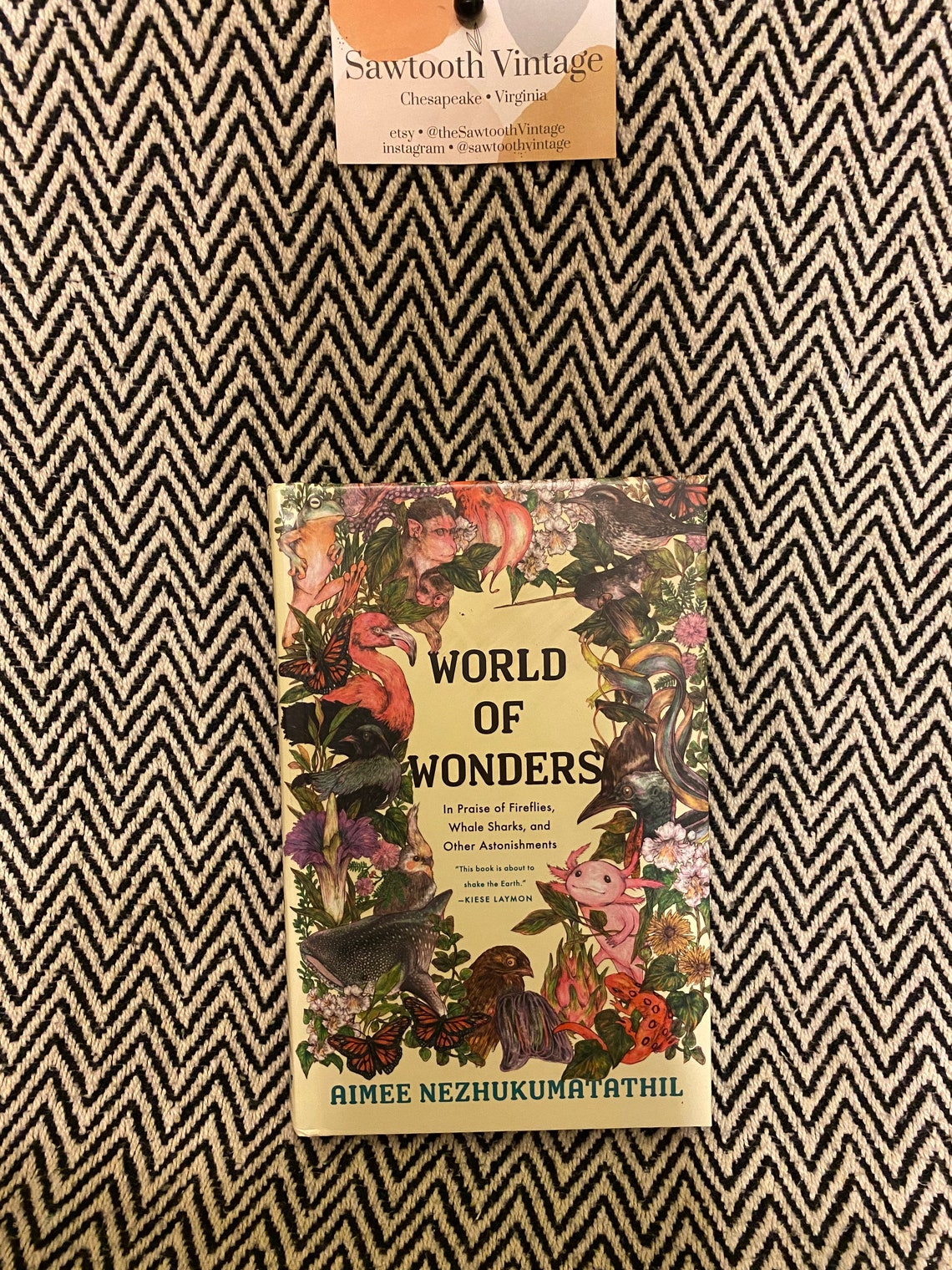 aimee world of wonders aimee world of wonders