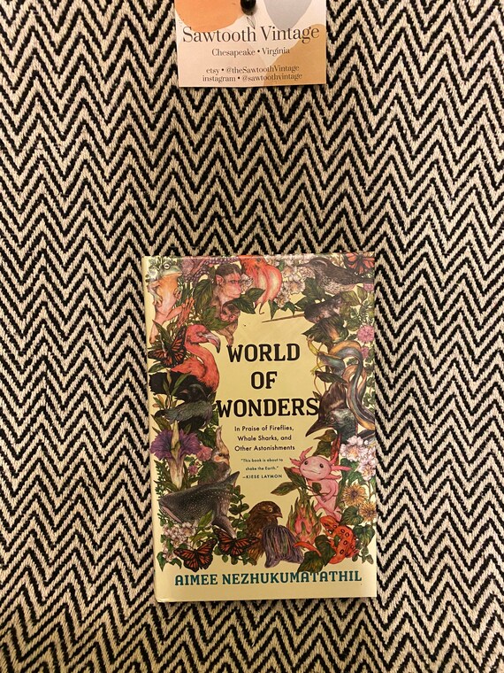 aimee world of wonders aimee world of wonders