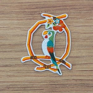 Può includere: Toppa ricamata raffigurante un pappagallo colorato appollaiato su un ramo all'interno di una cornice arancione. Il pappagallo ha il petto bianco, le ali verdi e la coda blu e arancione. La cornice è decorata con fiori. La toppa è su una superficie di legno.