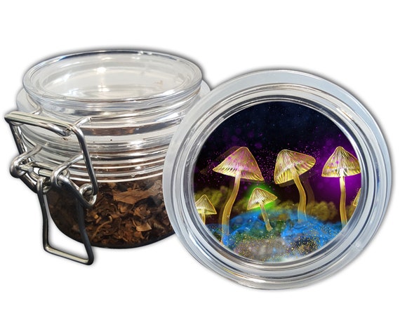Mushrooms Stash Jar, Airtight Jar With Silicone Seal, Whimsigoth Jar, Magical Mushrooms Jar, Herb Jar With Locking Wire, Smell Proof Jar