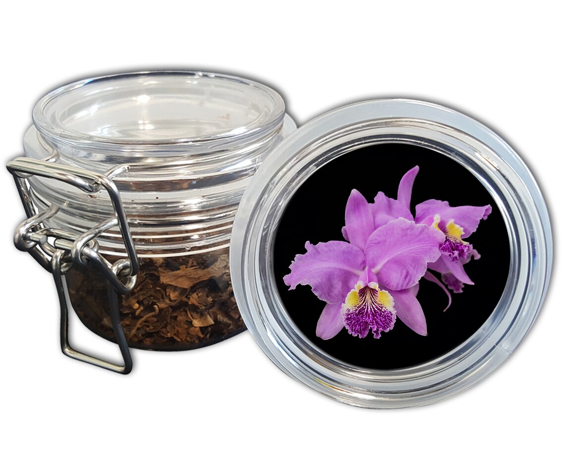 Airtight Stash Jar with Silicone Seal Cattleya Orchids