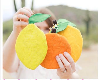 PDF Citrus Coin Purse Pattern