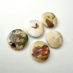 Broches vintage de animais de livros infantis (3,2 cm) – Estilo Cottage Core com um toque de fantasia