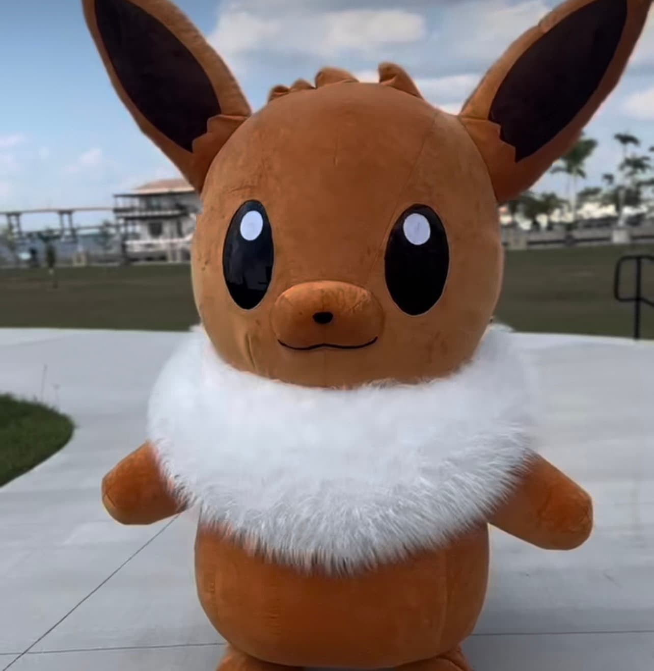  Quest Eevee Mascot Plush : Toys & Games