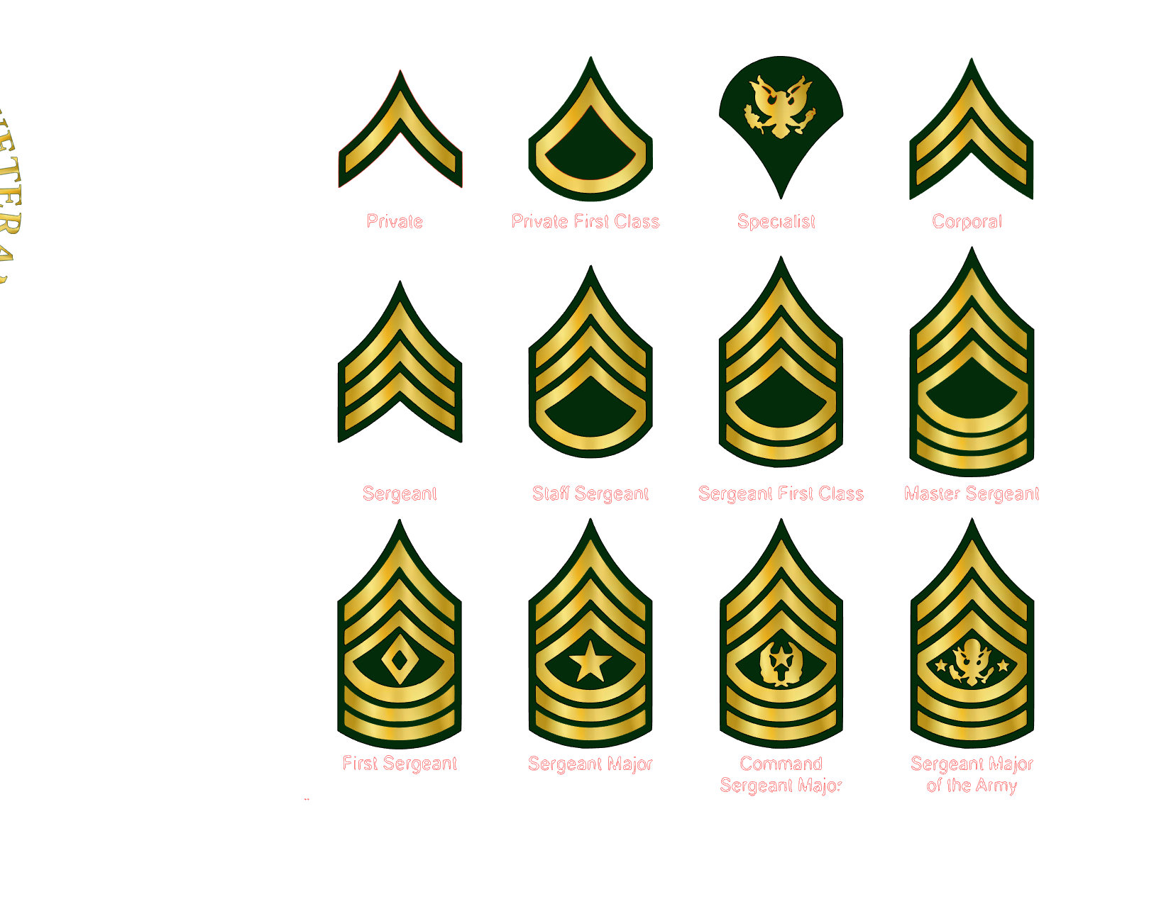 US Amy Ranks Army Ranks Army Ranks svg US Army Ranks Etsy