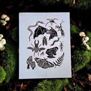 May include: A monochrome print showcasing a variety of insects, amphibians, and plants. The design includes a snake, bat, spider, praying mantis, beetle, frog, moth, and mushroom. The artwork is presented on a white backdrop.
