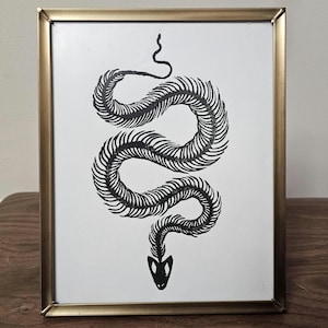 May include: A framed print showing a black and white illustration of a snake skeleton. The snake is coiled, with its spine and skull clearly depicted. The frame is gold-coloured, adding a touch of elegance to the artwork. The print is displayed on a wooden surface.