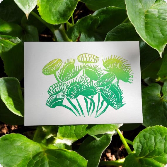 Venus Fly Trap Linocut Print. Plant art. Garden Decor. Weird art. Colorful wall art. Lino print