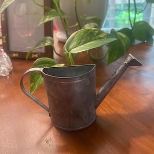 Puede incluir: Una pequeña regadera de metal galvanizado con asa y boquilla. La regadera es de color gris oscuro y está sobre una superficie de madera. Hay plantas verdes en el fondo.