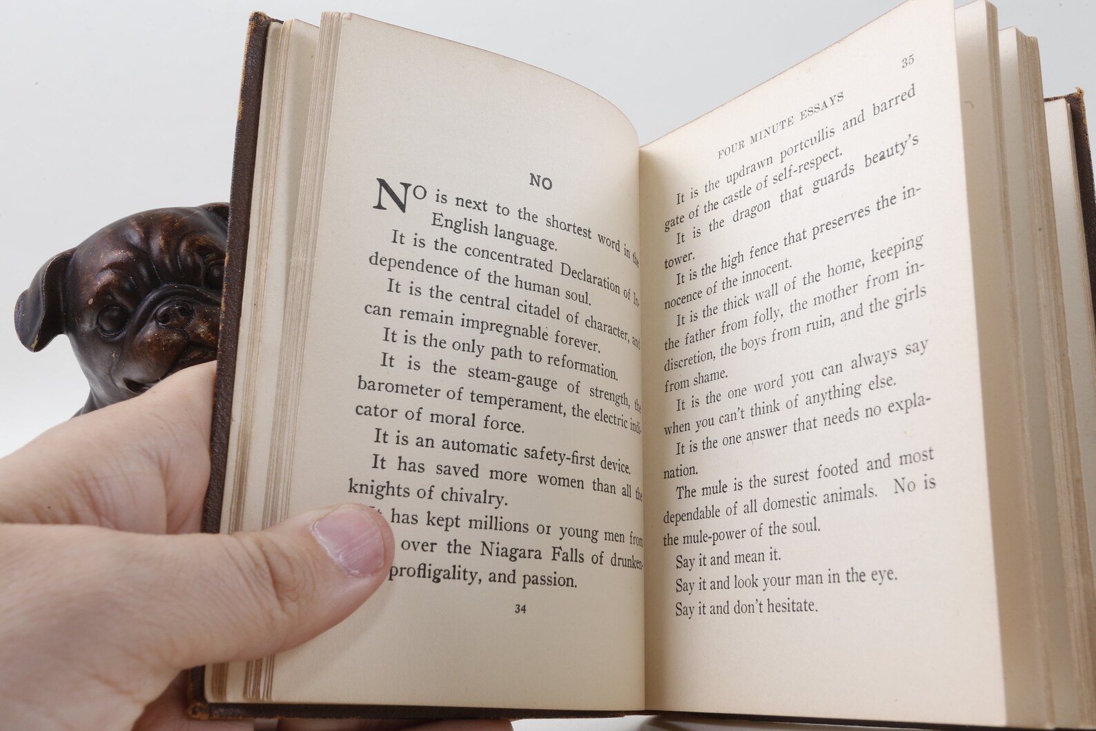 Prose of helga crane essay 06 picture