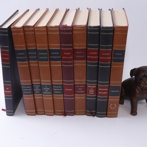 Hitchcock, Lenteric, Montlaur, Koontz, Boileau-Narcejac, Book Set, Set of 10, Bookshelf, Staging, Vintage, ~ 1082