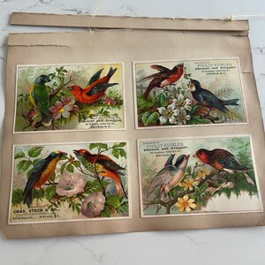 Birds Couples with Flowers, Antique Victorian Trade Cards from an Old Scrapbook, Advertisement, Collectible, ~ 240119-WH 121