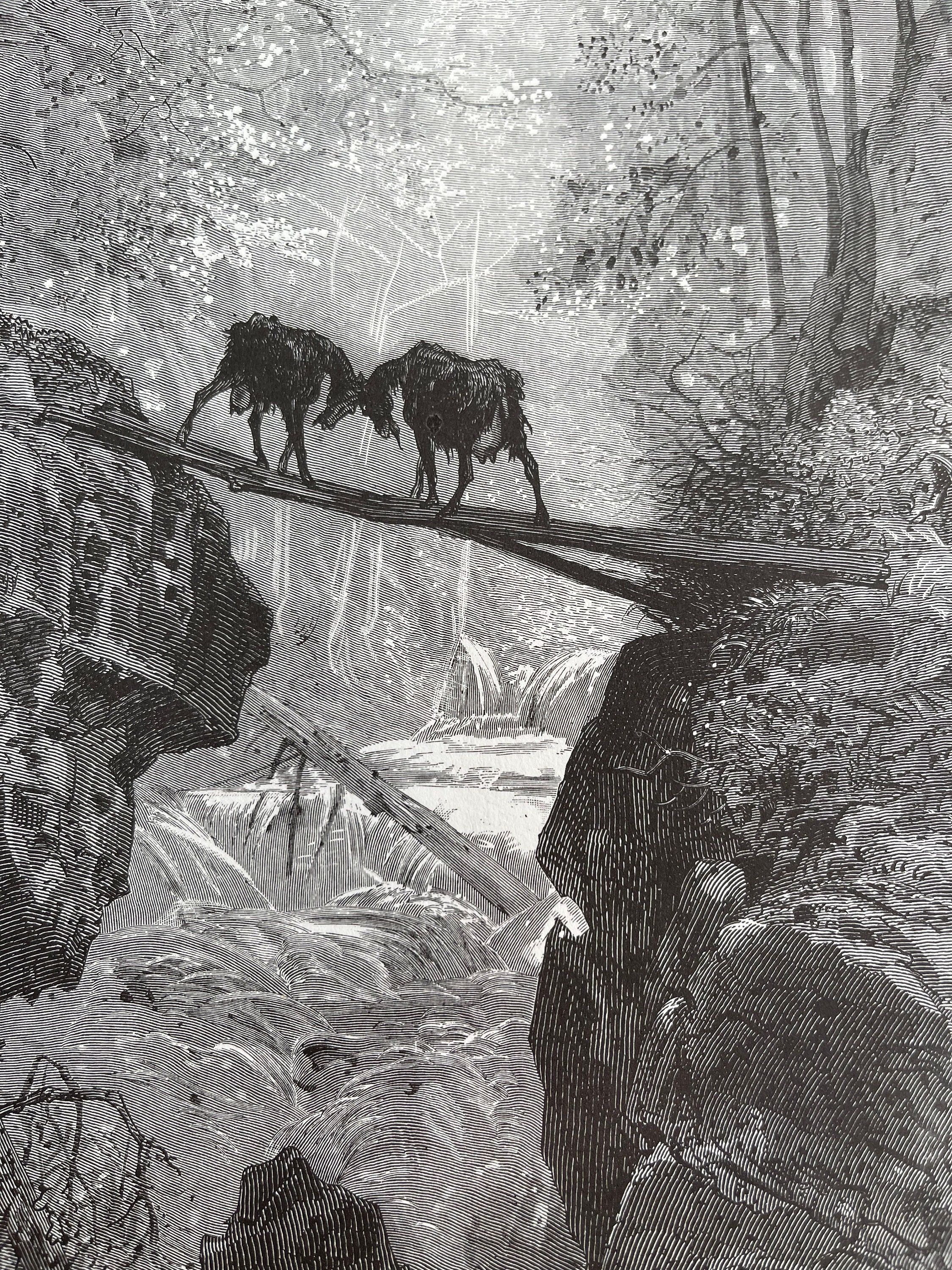 Gustave Dore, the Two Goats, the Fables, Graphics, Picture, Book