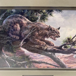 Lee K.Parkinson, Stalking its Prey, Rotluchs, Luchs, Tier, Malerei, Bild, gerahmt, Schrumpffolie, Mattierung, Druck, Vintage, ~ WH-01 847