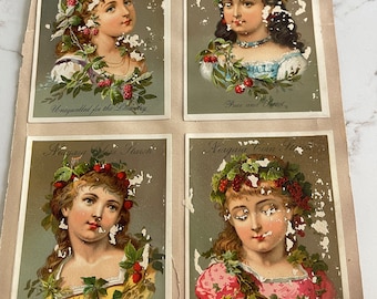 Portraits of Women with Berries Branches, Antique Victorian Trade Cards from an Old Scrapbook, Advertisement, Collectible, ~ 240119-WH 121