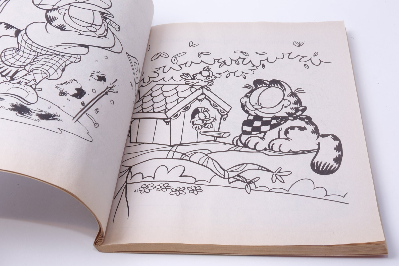 Garfield Soaks up Some Fun Jumbo Coloring and Activity Book - Etsy