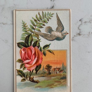 Rose, Bird, Country House, Shoe Dealer, Victorian, Trade Card, 1880s, Antique, Cabinet Card, Advertising, Memorabilia, ~ 221119-EB-59498 483