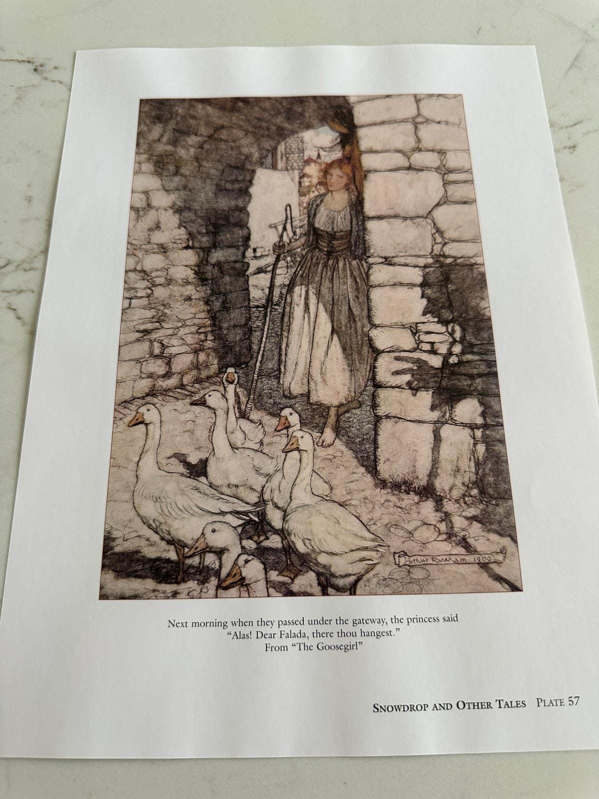 Arthur Rackham Good Dwarf the Goosegirl Illustration 8x11 Art Print ...