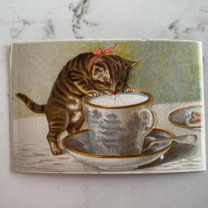 Handelskarte, Katze, gebraucht, 1800, Postkarte, Bild, 3", gestempelt, Vintage, Farbe, Sammlerstück, -221118-EB-28060 416