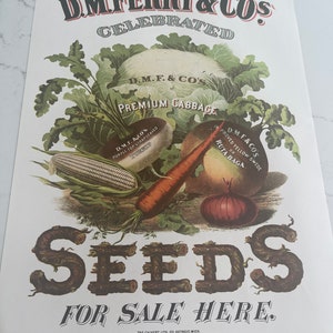 May include: A vintage advertisement for D.M. Ferry & Co's celebrated seeds. The image features a colourful assortment of vegetables, including cabbage, turnips, carrots, and onions. The text reads "D.M. Ferry & Co's Celebrated Seeds For Sale Here." The Calvert Lith. Co. Detroit, Mich. is printed at the bottom.