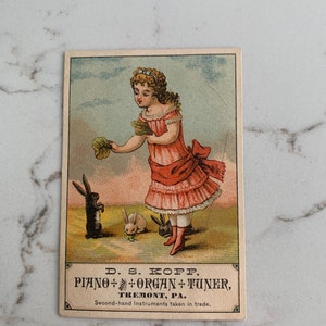 Lady Feeding Rabbits, Piano and Organ Tuner, Victorian, Trade Card, 1880s, Antique, Cabinet Card, Advertising, ~ 221119-EB-59498 483