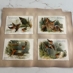 Little Birds in Winter, Four Seasons Countryside, Antique Victorian Trade Cards from an Old Scrapbook, Advertisement, ~ 240119-WH 121