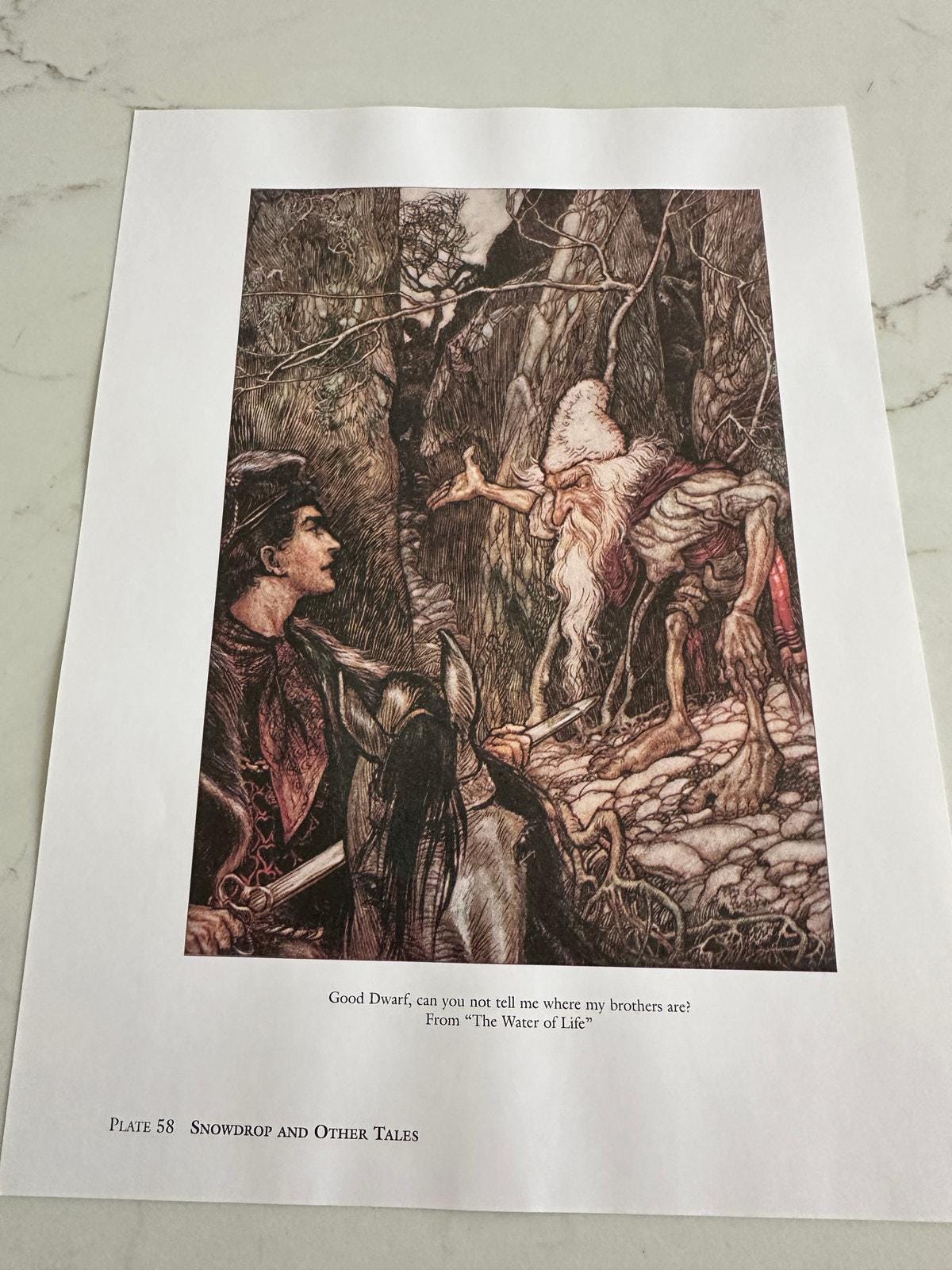 Arthur Rackham Good Dwarf the Goosegirl Illustration 8x11 Art Print ...
