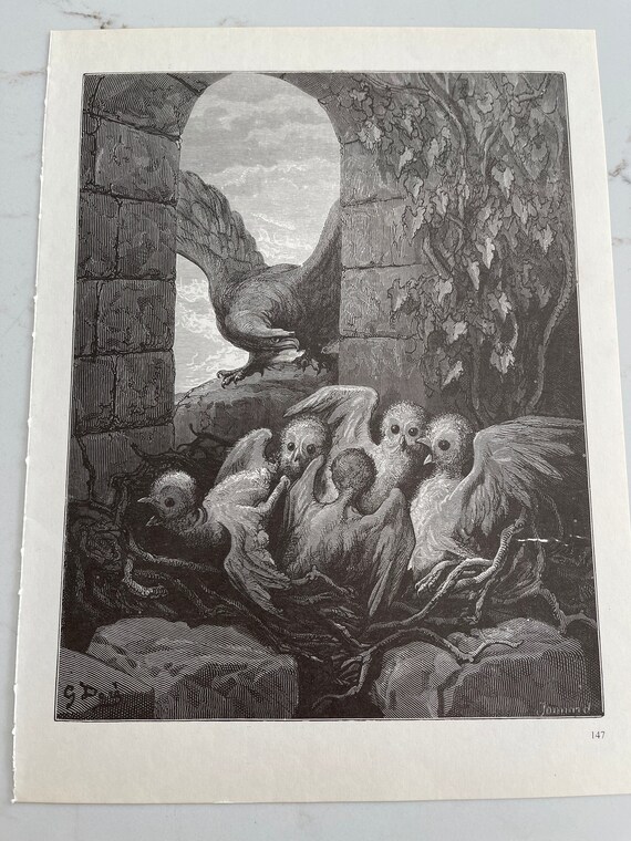 Gustave Dore, the Eagle and the Owl, Birds, Graphics, Picture