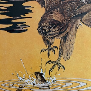 May include: Illustration of a hawk swooping down to catch a mouse in a body of water. The hawk is brown and tan with sharp talons extended. The mouse is gray and brown, with water splashing around it. The background is yellow.