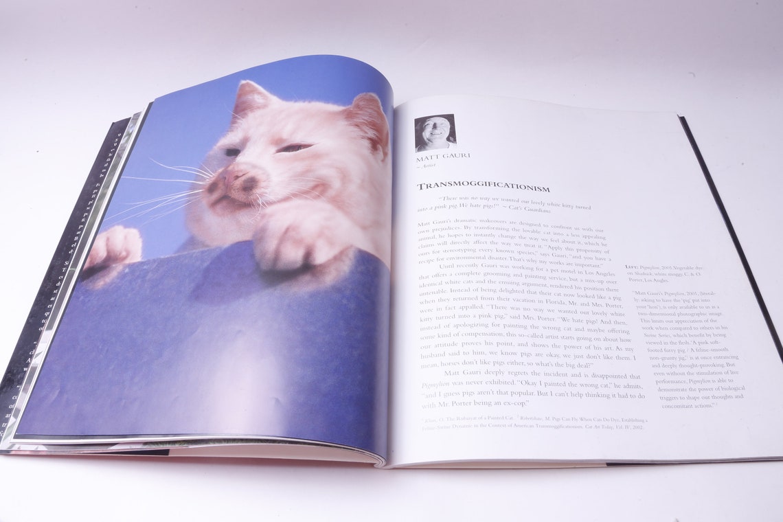 Burton Silver Heather Busch Why Paint Cats Ethics of Feline Etsy