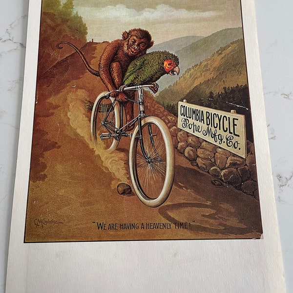 Columbia Bicycles, Beeston Tyres, People, Cycling, 1890s, Poster, Double-Sided, Picture, Book Page, Print, 16 x 10 1/2", Art, ~ 20-35-1246