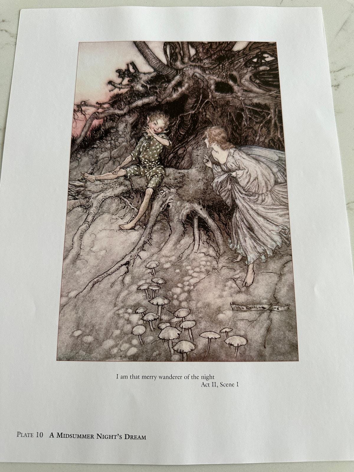 Arthur Rackham A Midsummer Night's Dream Illustration 8x11 Art Print ...