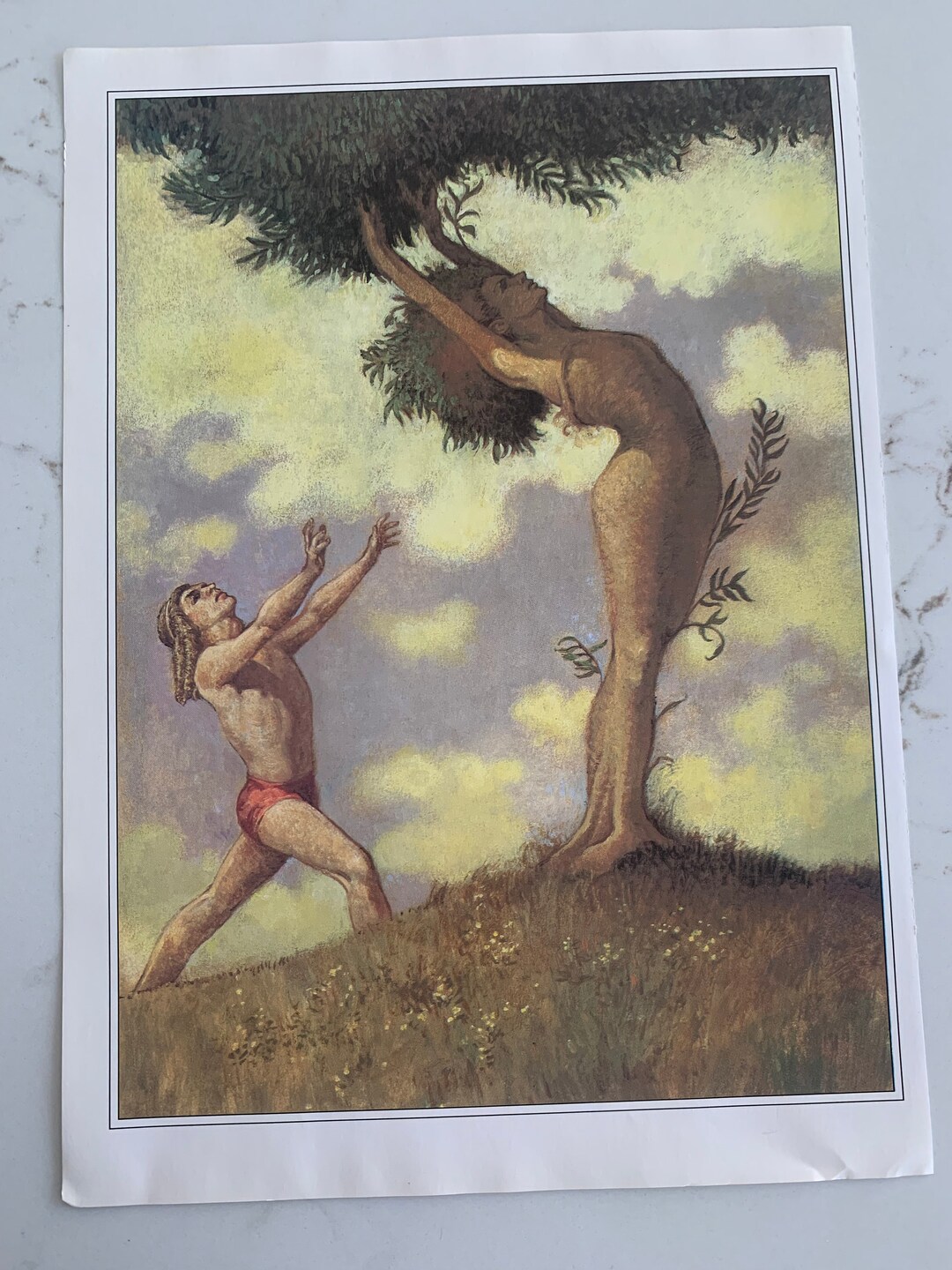 Apollo’s Tree, Apollo, Daphne, Favorite Greek Myths, Mary Pope Osborne ...