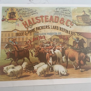 May include: Vintage advertisement for Halstead & Co., a beef and pork packer and lard refiner. The illustration depicts cattle and pigs being herded, with text indicating the company's location in New York, USA. The ad also mentions the Mt. Vernon brand.