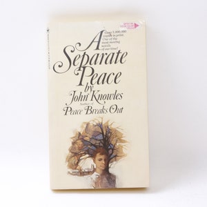 John Knowles, A Separate Peace, Bantam Book, For Young Reader, Softcover, Vintage, 221028-DIAF M-17-02 image 1