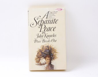 John Knowles, A Separate Peace, Bantam Book, For Young Reader, Softcover, Vintage, ~221028-DIAF M-17-02