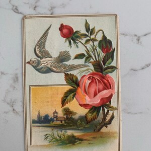 Roses, Bird and Country House, Embossed, Shoe Dealer, Victorian, Trade Card, 1880s, Antique, Cabinet Card, Advertising,~ 221119-EB-59498 483